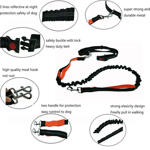 Image of Glow In The Dark Hand Free Jogging Running Dog Leash Phone Grips Bundle