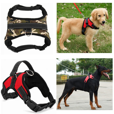 Image of Heavy Duty No Pull Padded Dog Harness