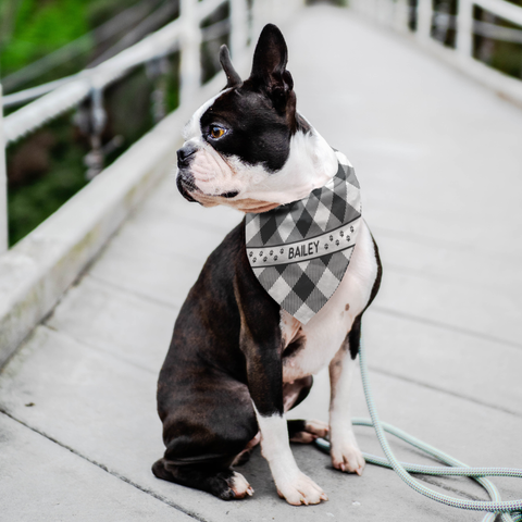 Image of Personalized Dog Bandana Gray Flannel Name