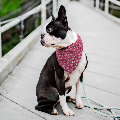 Image of Personalized Dog Bandana Pattern Name Paw Prints