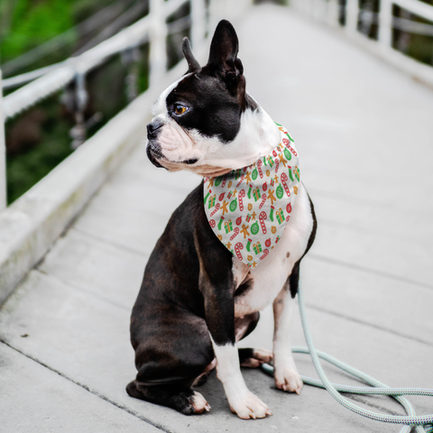 Image of Dog Christmas Bandana