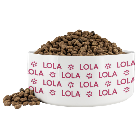Image of Personalized Ceramic Dog Bowl Pattern Name