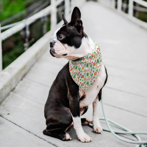 Image of Dog Christmas Bandana