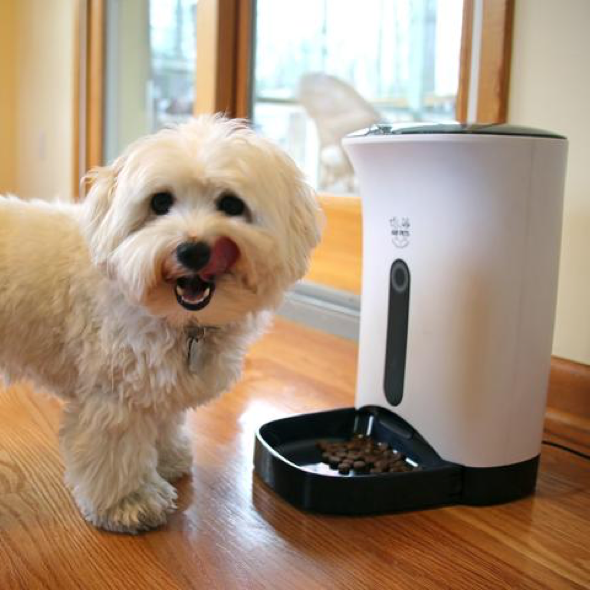 Top 10 Automatic Pet Feeders