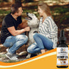 Benefits of Hemp Oil for Dogs and Cats