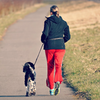 Benefits of Running With Your Dog