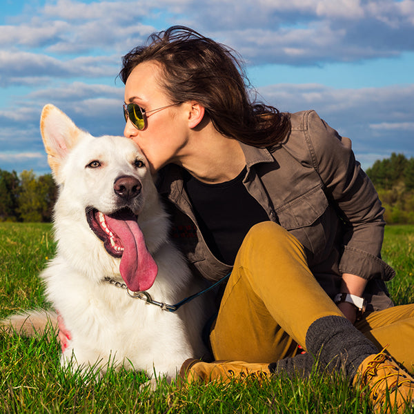 Are Probiotics Good for Your Dog?