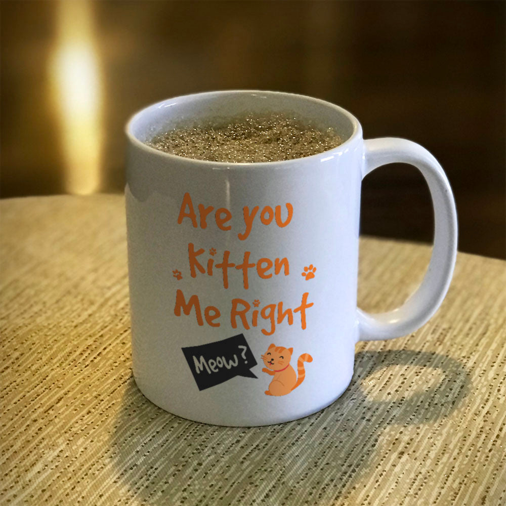 Ceramic Coffee Mug Are You Kitten Me Right