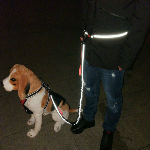 Image of Glow In The Dark Hand Free Jogging Running Dog Leash Phone Grips Bundle