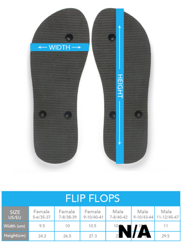 Flip Flops Lattice