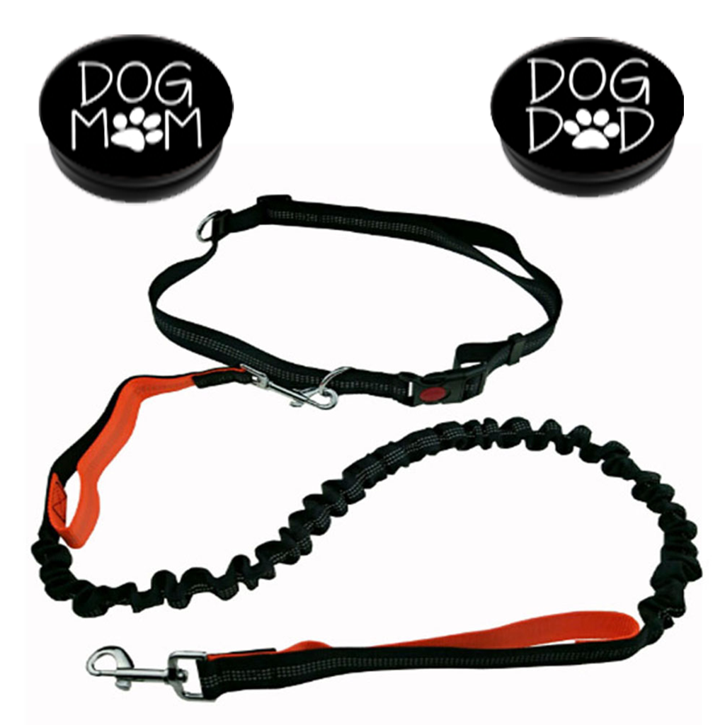 Glow in shop the dark leash