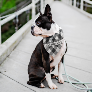 Personalized Dog Bandana Gray Flannel Name