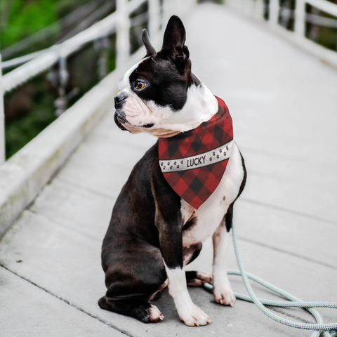 Image of Personalized Dog Bandana Red Flannel Name